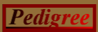 Curlin's Pedigree