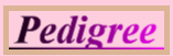 GiGi's Pedigree