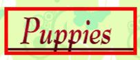 Available VWK Puppies
