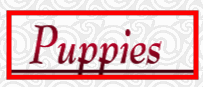 all related to puppies