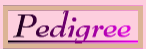 DeeDee's pedigree
