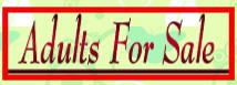 purchase an older pup or retired doxie